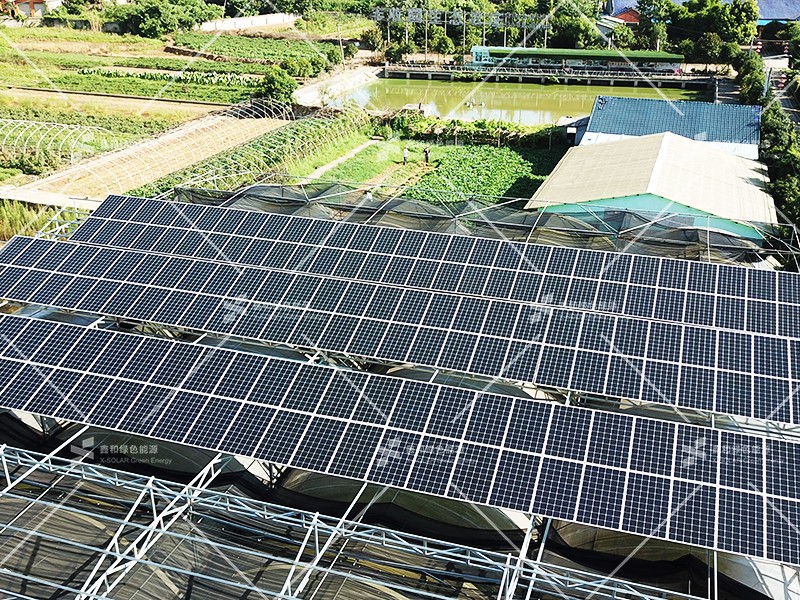 湖北217永信贵宾会绿色能源有限公司