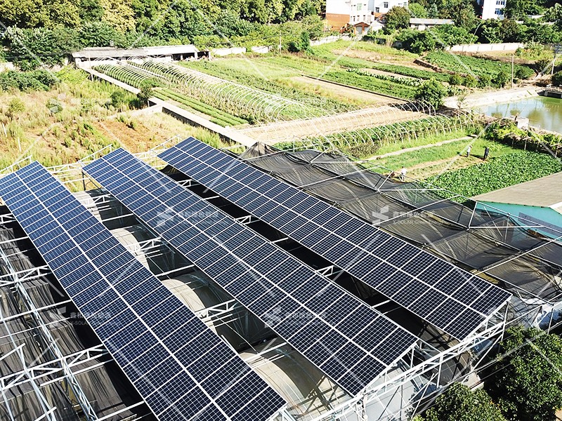 湖北217永信贵宾会绿色能源有限公司