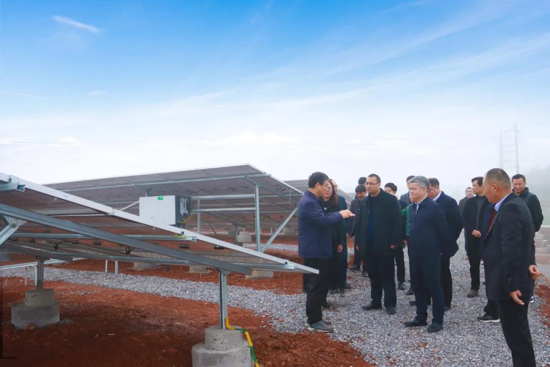 湖北217永信贵宾会绿色能源有限公司