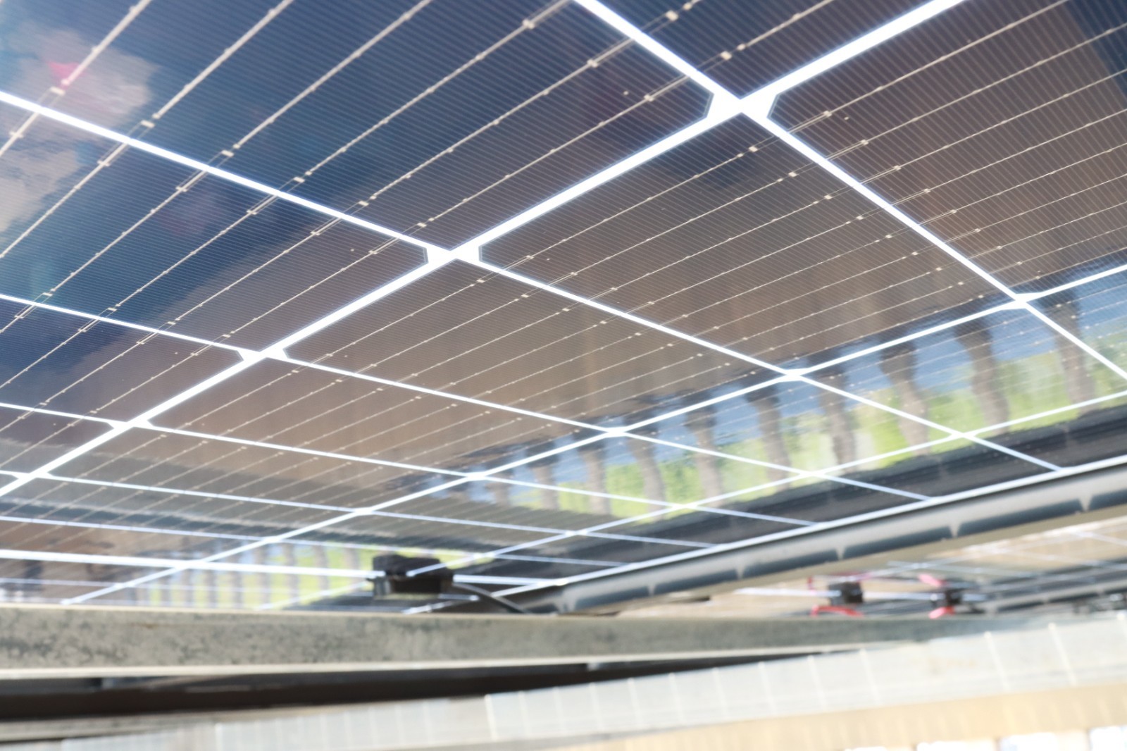 湖北217永信贵宾会绿色能源有限公司