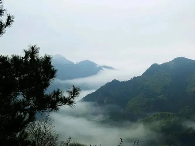 湖北217永信贵宾会绿色能源有限公司