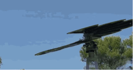 湖北217永信贵宾会绿色能源有限公司