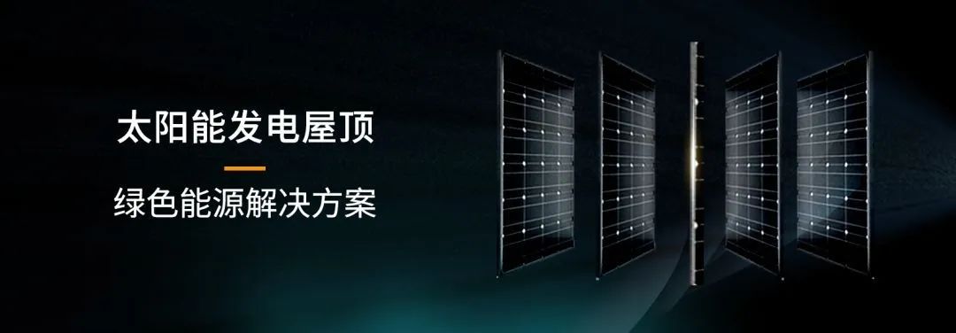 湖北217永信贵宾会绿色能源有限公司